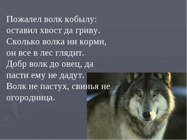 Рецензия к фильму "Час расплаты" (2003). Пожалел волк кобылу, оставил хвост да гриву