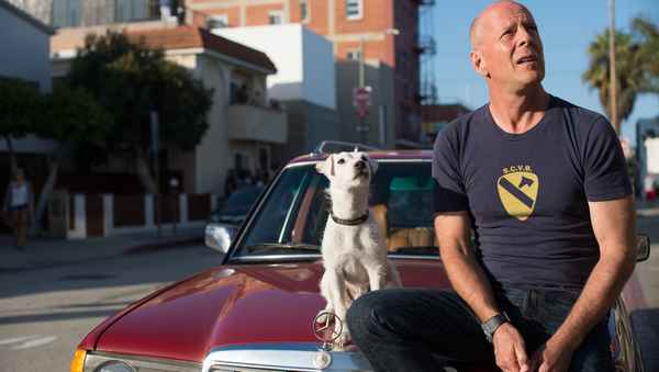 Его собачье дело ( Once Upon a Time in Venice ),  2016