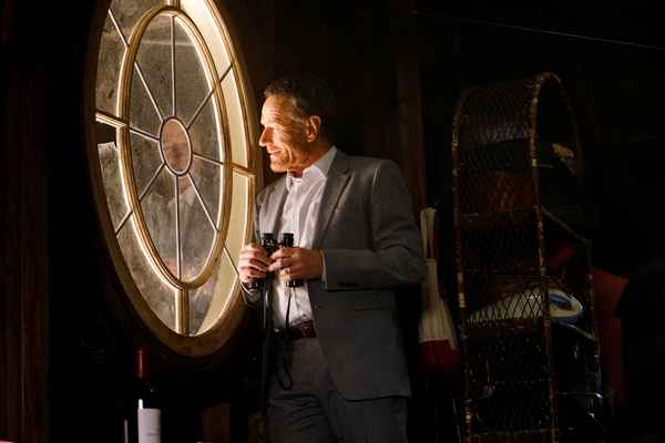 Во всем виноват енот ( Wakefield ),  2016