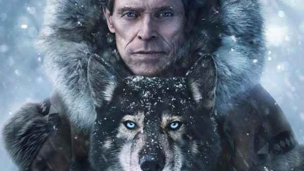 Кино про собак 2018 – 2019 года: фильмы новинки