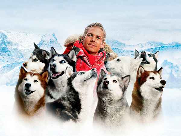 Турецкий сериал "Возрождение Осман": актеры и роли, сколько серий