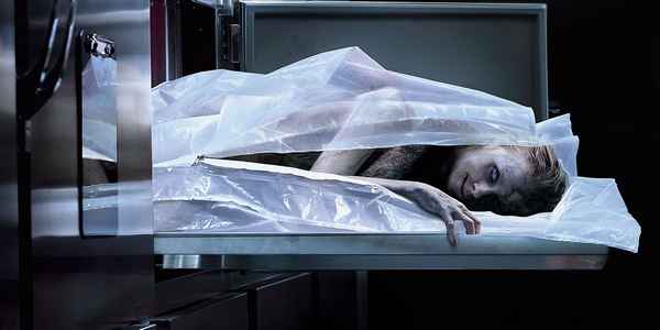 Труп ( Кадавр, Cadaver, The Possession of Hannah Grace ),  2018